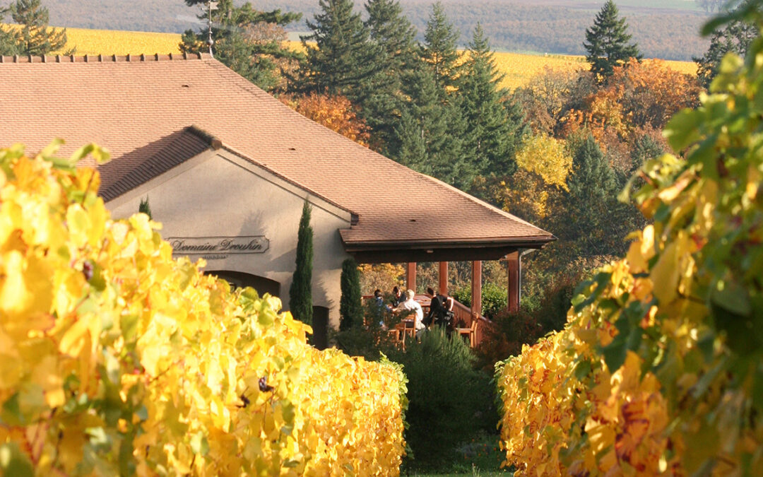 Domaine Drouhin of Oregon