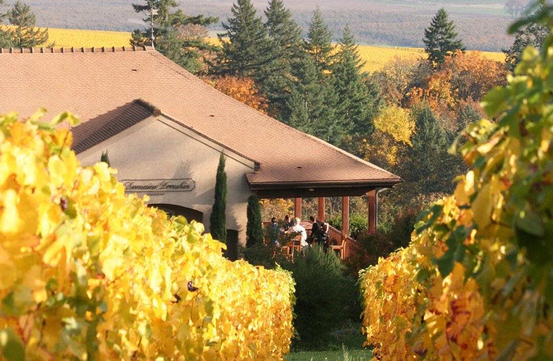 Domaine Drouhin of Oregon