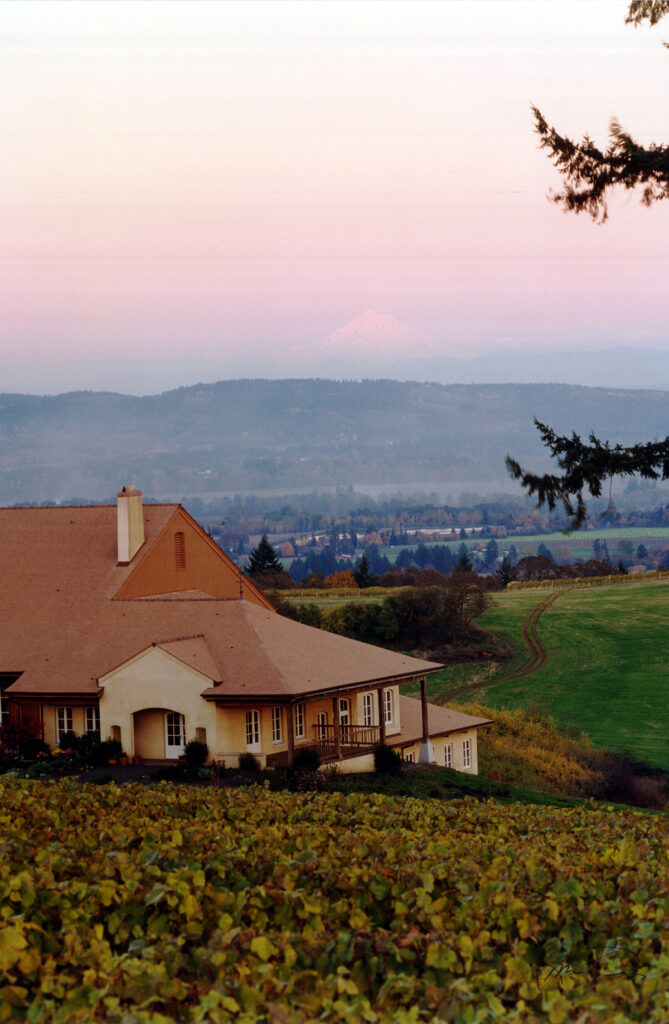 DDO with Mt Hood