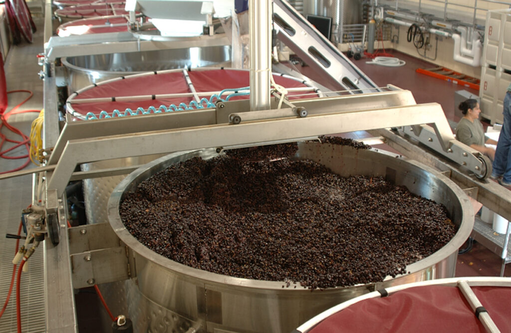 grapes in tank